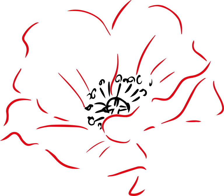 Red Poppy Flower 